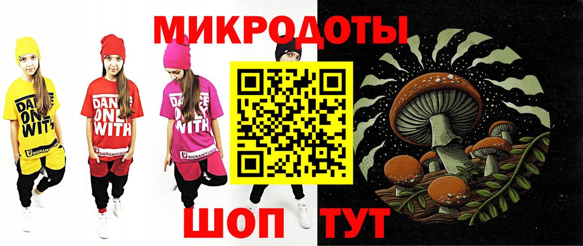 Галлюциногенные грибы Psilocybe Новый Уренгой