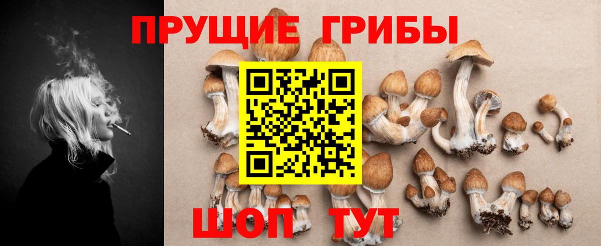 Новый Уренгой  сколько стоит  Вход с VPN  Галлюциногенные грибы Cubensis 
